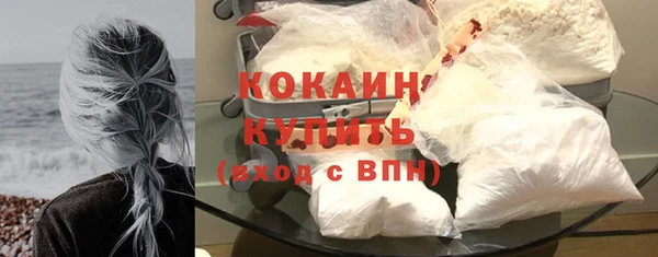 гидра Белокуриха