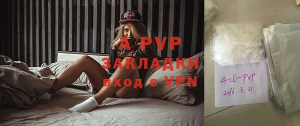 гидра Белокуриха
