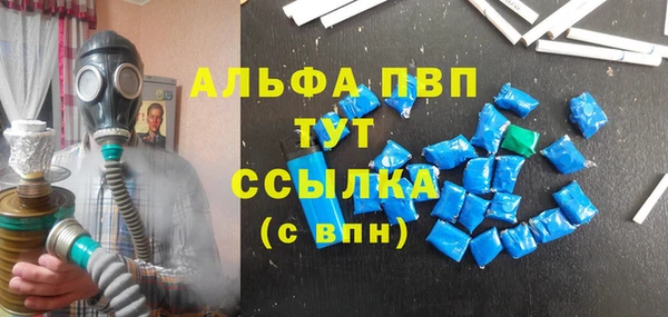 гидра Белокуриха