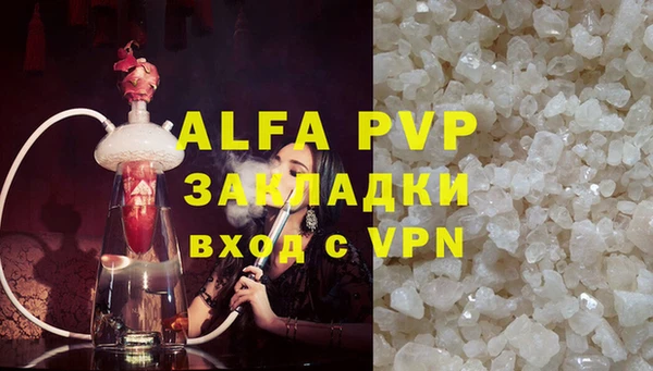 гидра Белокуриха