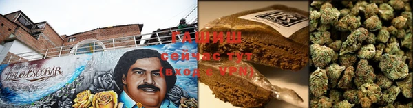 гидра Белокуриха