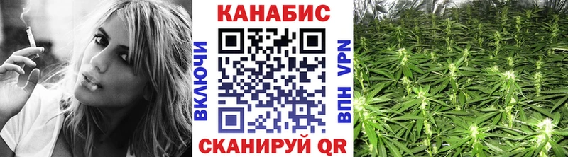 omg tor  Воркута  Каннабис план 